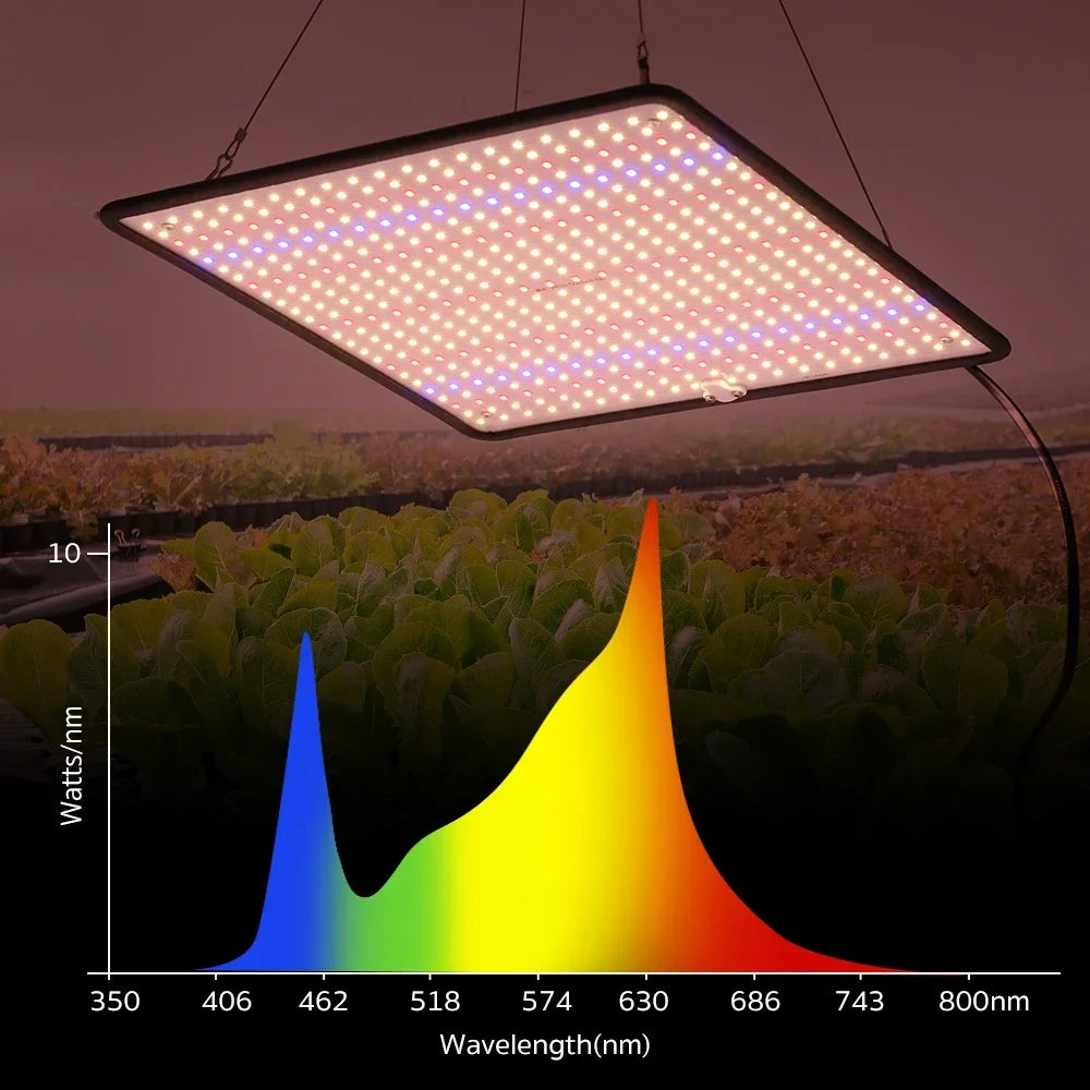 40W Full Spectrum LED Grow Light for Indoor Plants and Grow Tents