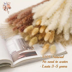 Natural Pampas Grass Dried Bouquet with Bunny Tails for Boho Vase Decor