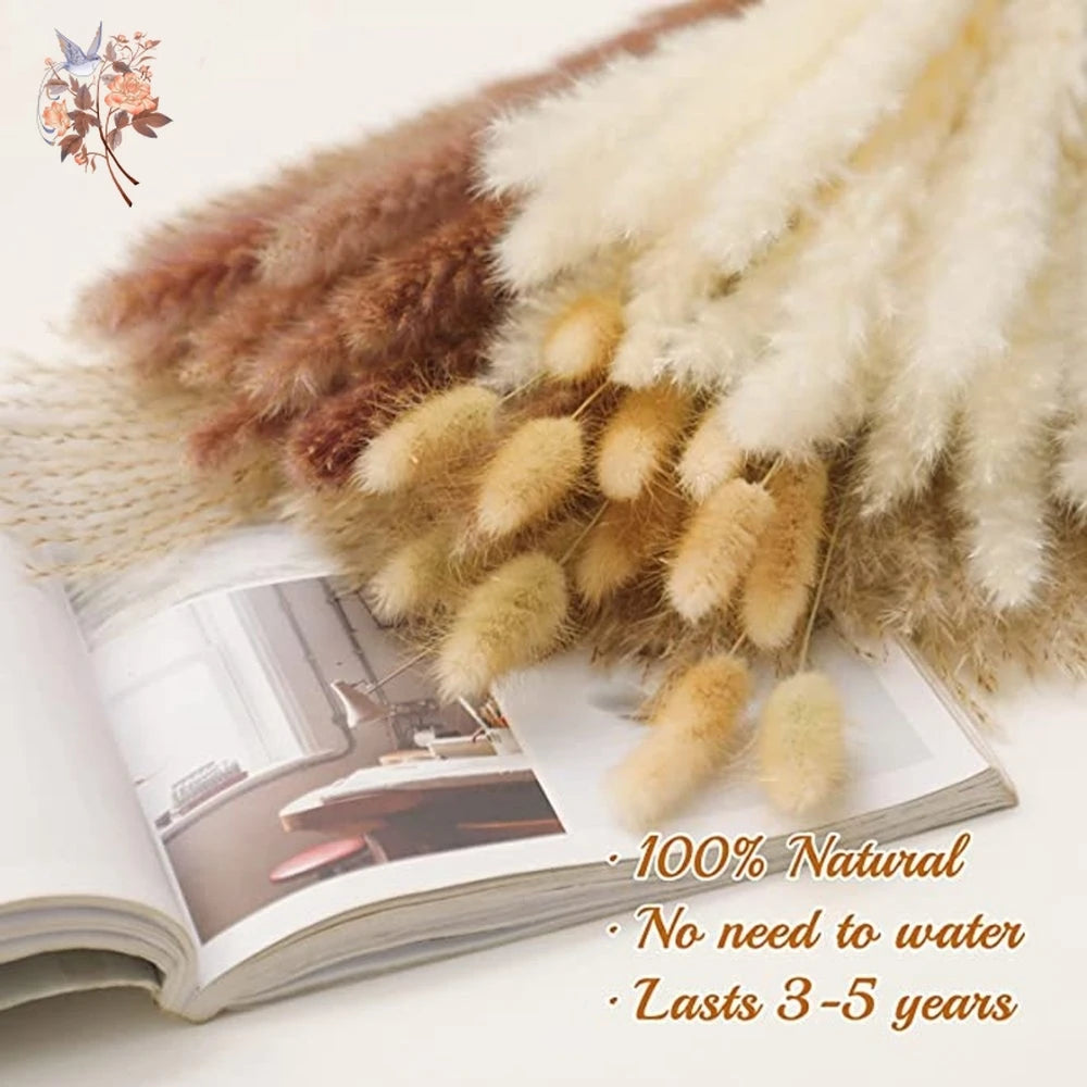 Natural Pampas Grass Dried Bouquet with Bunny Tails for Boho Vase Decor