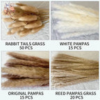 Natural Pampas Grass Dried Bouquet with Bunny Tails for Boho Vase Decor