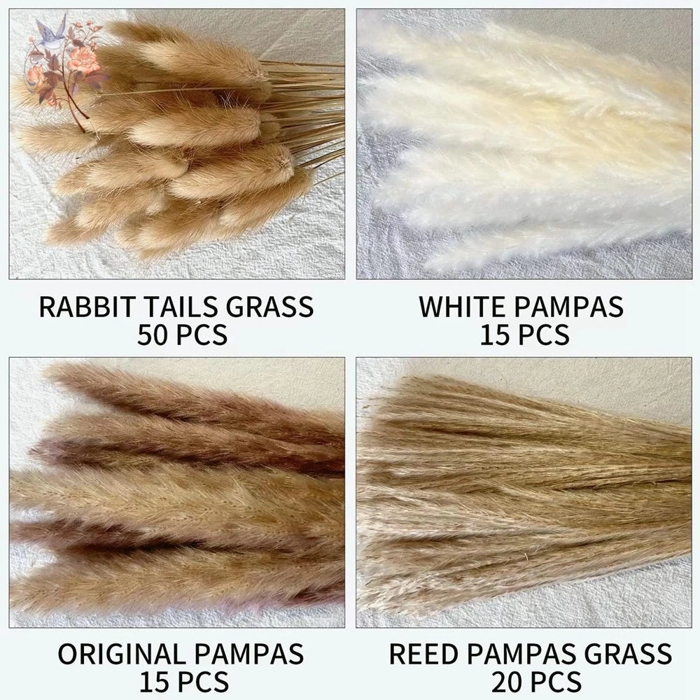Natural Pampas Grass Dried Bouquet with Bunny Tails for Boho Vase Decor