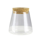 Hydroponic Glass Vase Propagation Station Rack for Cuttings & Home Decor