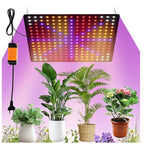 40W Full Spectrum LED Grow Light for Indoor Plants and Grow Tents