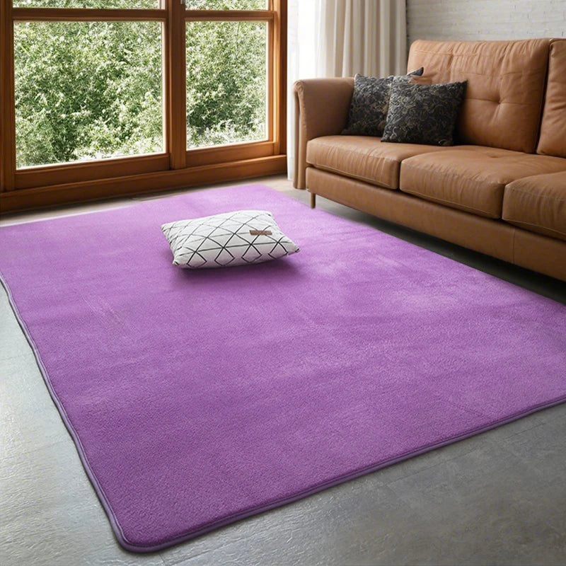 Coral Velvet Area Rug Soft Non-Slip Living Room & Bedroom Carpet
