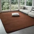 Coral Velvet Area Rug Soft Non-Slip Living Room & Bedroom Carpet