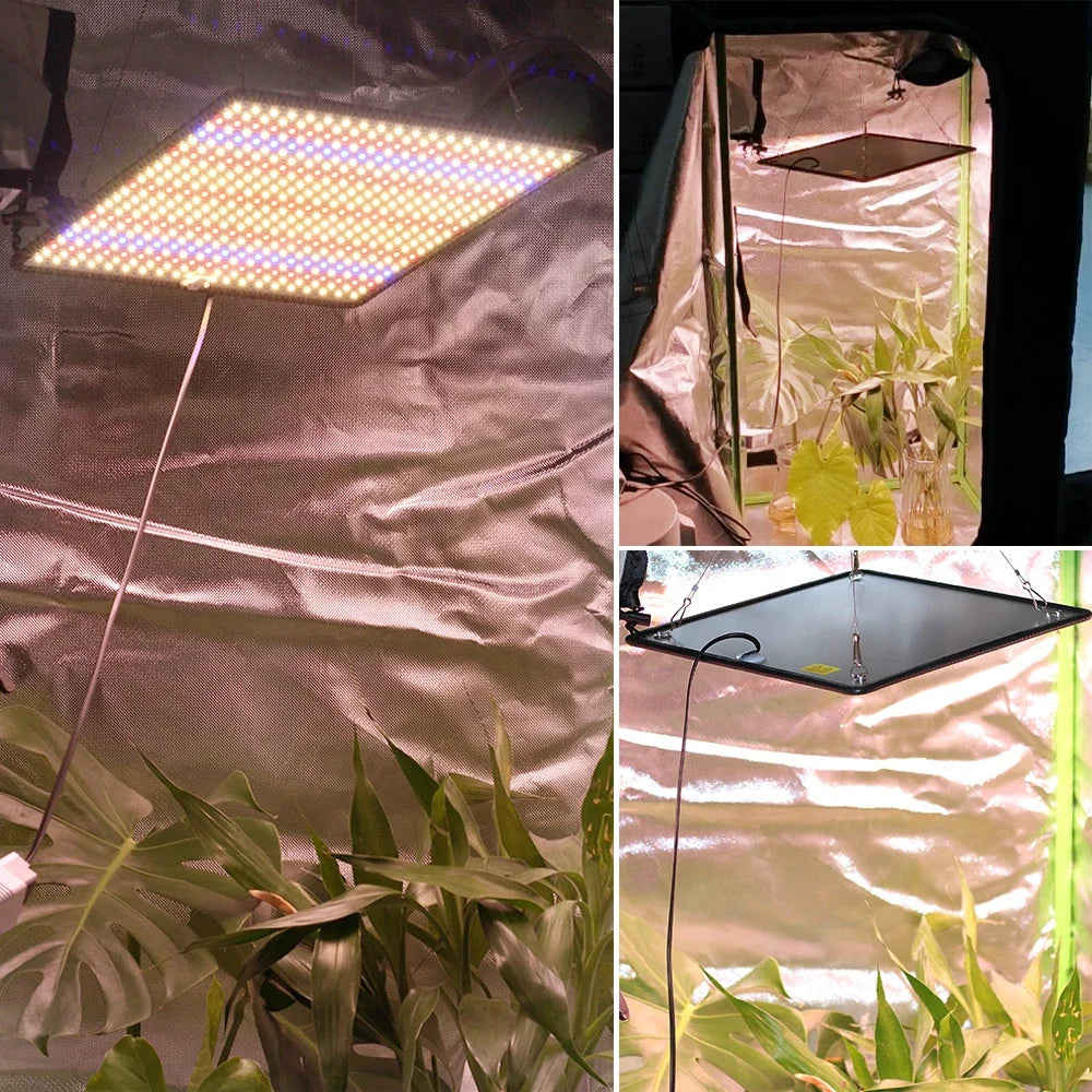 40W Full Spectrum LED Grow Light for Indoor Plants and Grow Tents