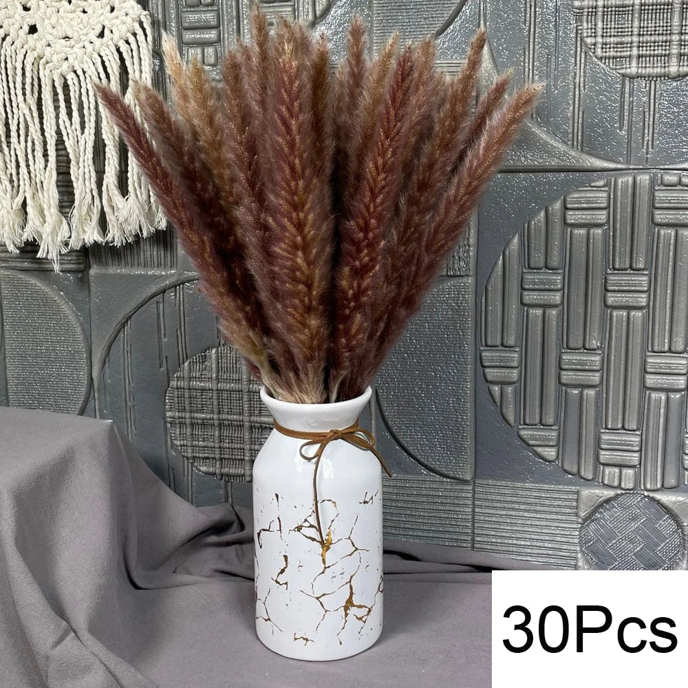 Natural Pampas Grass Dried Bouquet with Bunny Tails for Boho Vase Decor