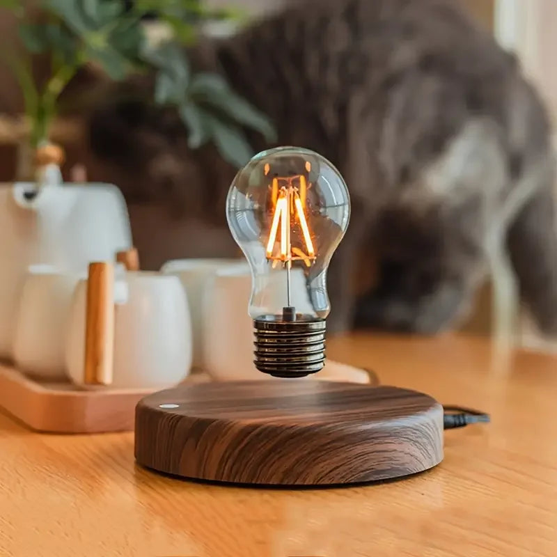 Levitating Moon Magnetic Floating Night Light 3D LED Lamp Wooden Base