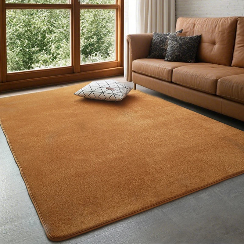 Coral Velvet Area Rug Soft Non-Slip Living Room & Bedroom Carpet
