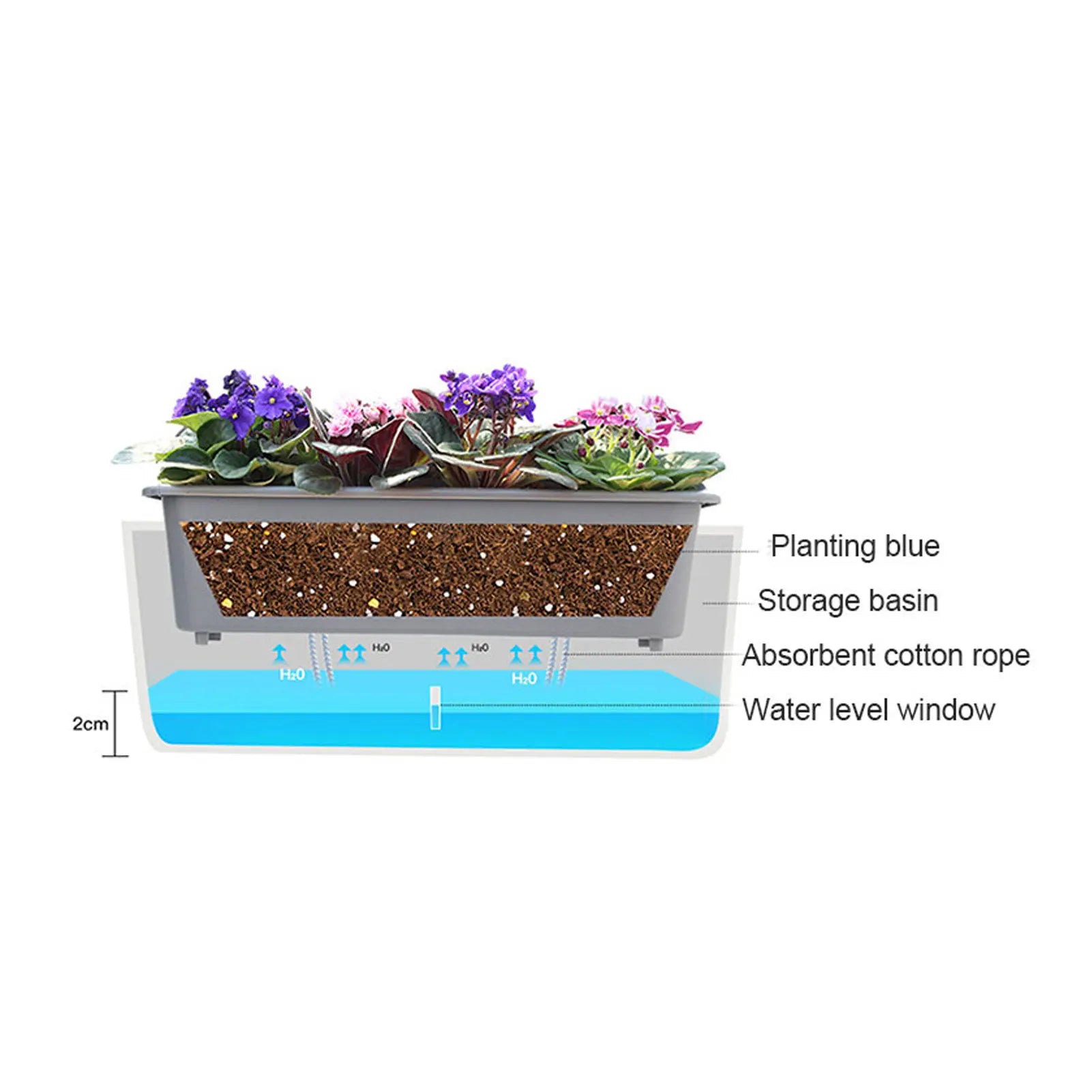 Self Watering Planter Pot with Water Level Indicator for Indoor Plants