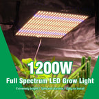 40W Full Spectrum LED Grow Light for Indoor Plants and Grow Tents