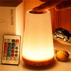 13-Color LED Night Light with Remote, Touch & USB Rechargeable