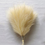 Artificial Pampas Grass Fluffy Bouquet Boho Decor (10-100 Stems)