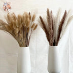Natural Pampas Grass Dried Bouquet with Bunny Tails for Boho Vase Decor