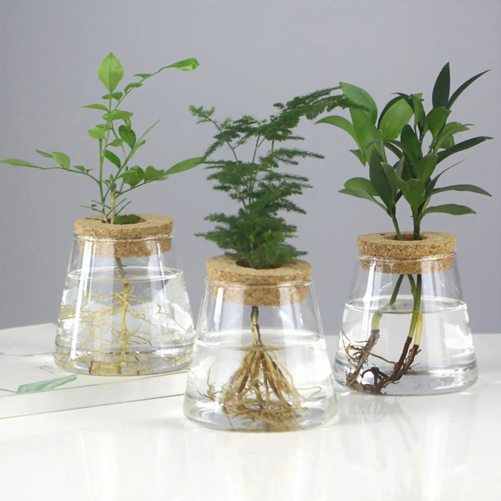 Hydroponic Glass Vase Propagation Station Rack for Cuttings & Home Decor