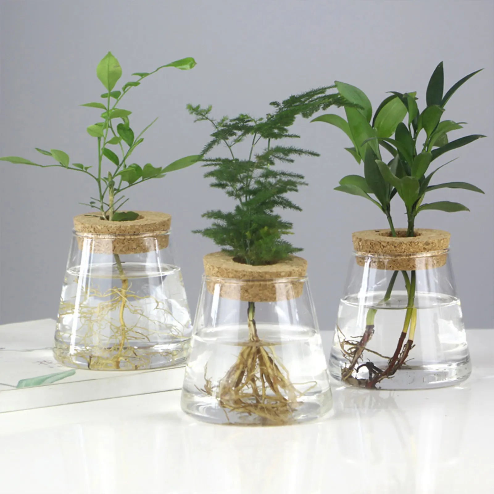 Hydroponic Glass Vase Propagation Station Rack for Cuttings & Home Decor