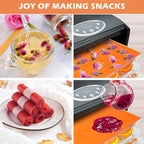 Silicone Dehydrator Sheets with Raised Edges, 6-Piece Set