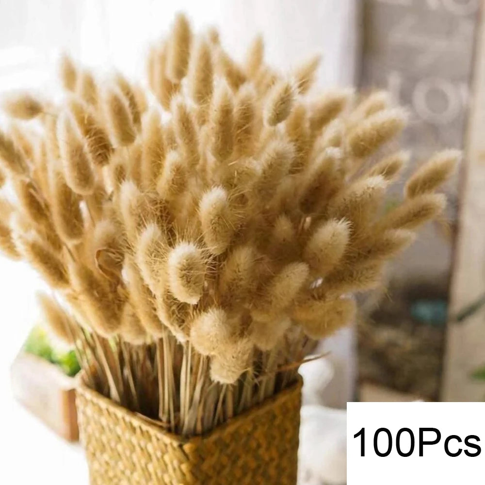 Natural Pampas Grass Dried Bouquet with Bunny Tails for Boho Vase Decor