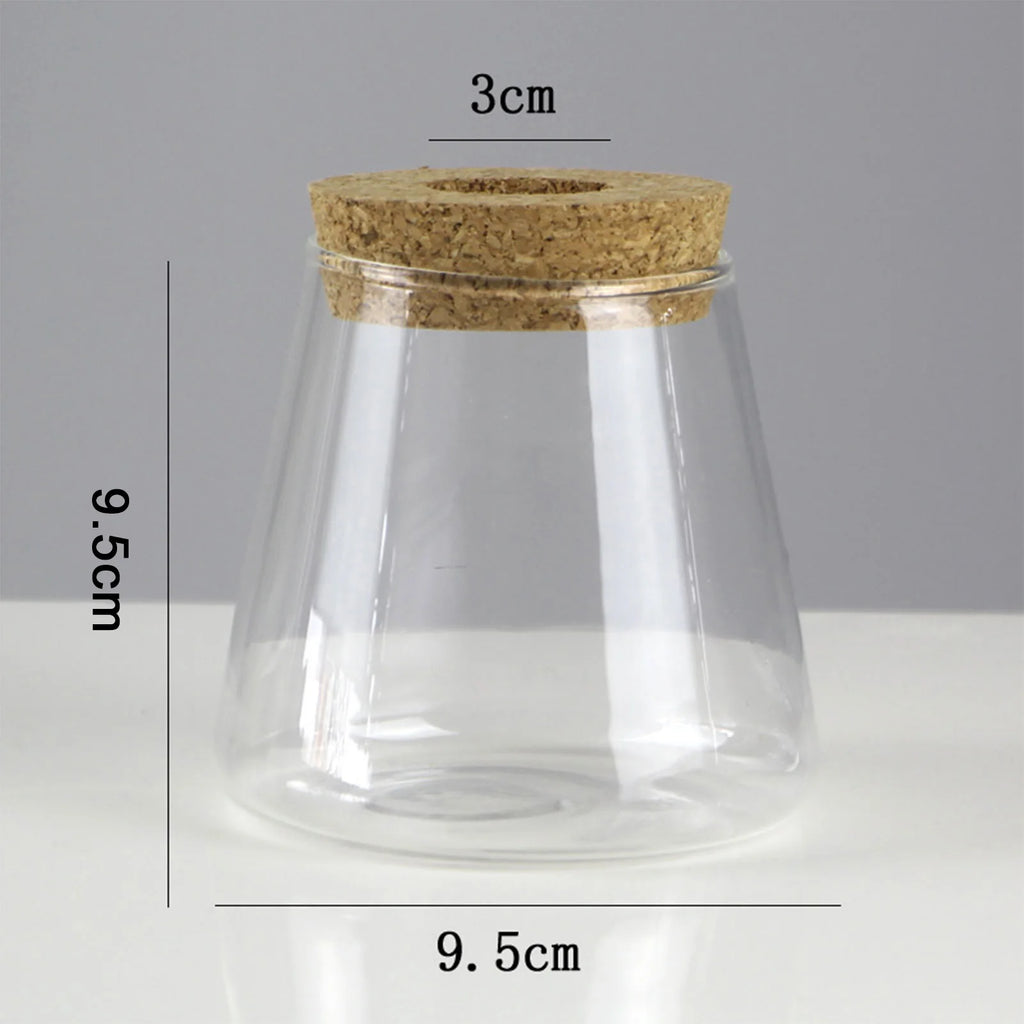 Hydroponic Glass Vase Propagation Station Rack for Cuttings & Home Decor