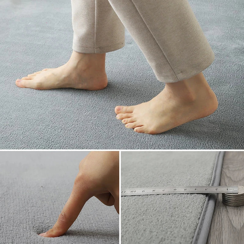 Coral Velvet Area Rug Soft Non-Slip Living Room & Bedroom Carpet