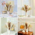 Natural Pampas Grass Dried Bouquet with Bunny Tails for Boho Vase Decor