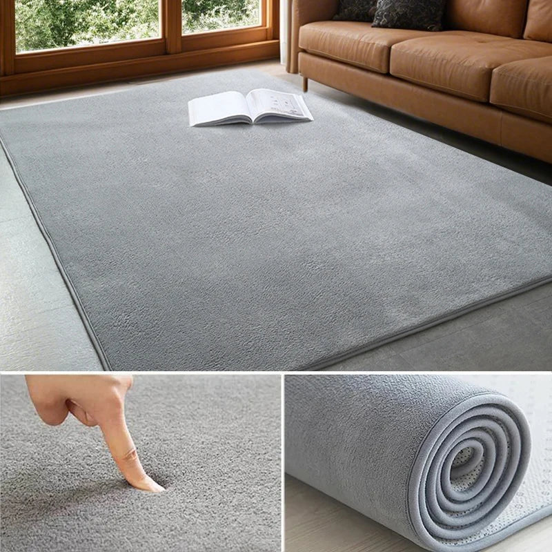 Coral Velvet Area Rug Soft Non-Slip Living Room & Bedroom Carpet