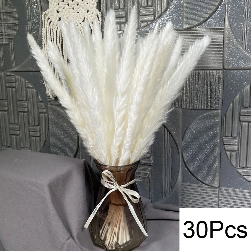 Natural Pampas Grass Dried Bouquet with Bunny Tails for Boho Vase Decor