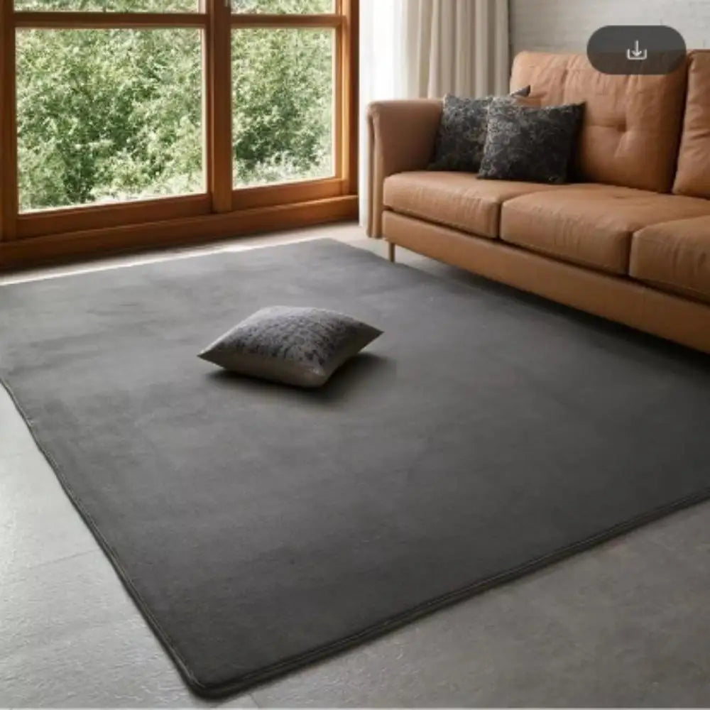 Coral Velvet Area Rug Soft Non-Slip Living Room & Bedroom Carpet