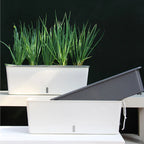 Self Watering Planter Pot with Water Level Indicator for Indoor Plants