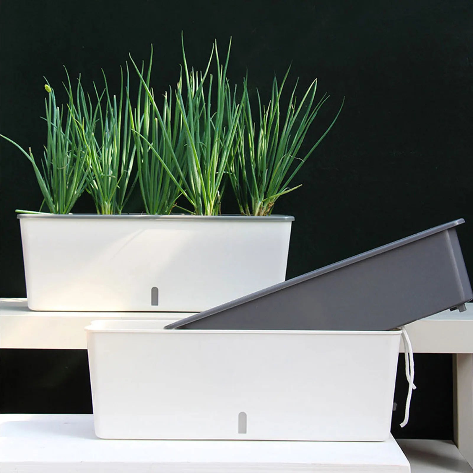 Self Watering Planter Pot with Water Level Indicator for Indoor Plants