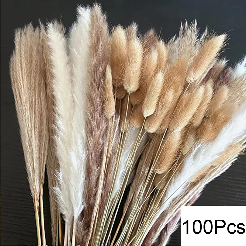 Natural Pampas Grass Dried Bouquet with Bunny Tails for Boho Vase Decor