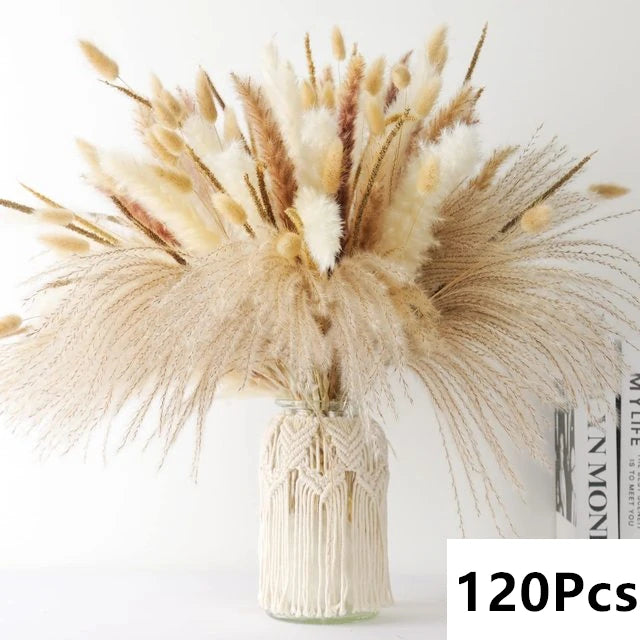 Natural Pampas Grass Dried Bouquet with Bunny Tails for Boho Vase Decor