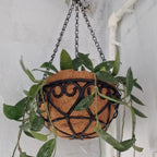 Hanging Basket Flowerpot Round Iron Chain Coconut Brown European Style