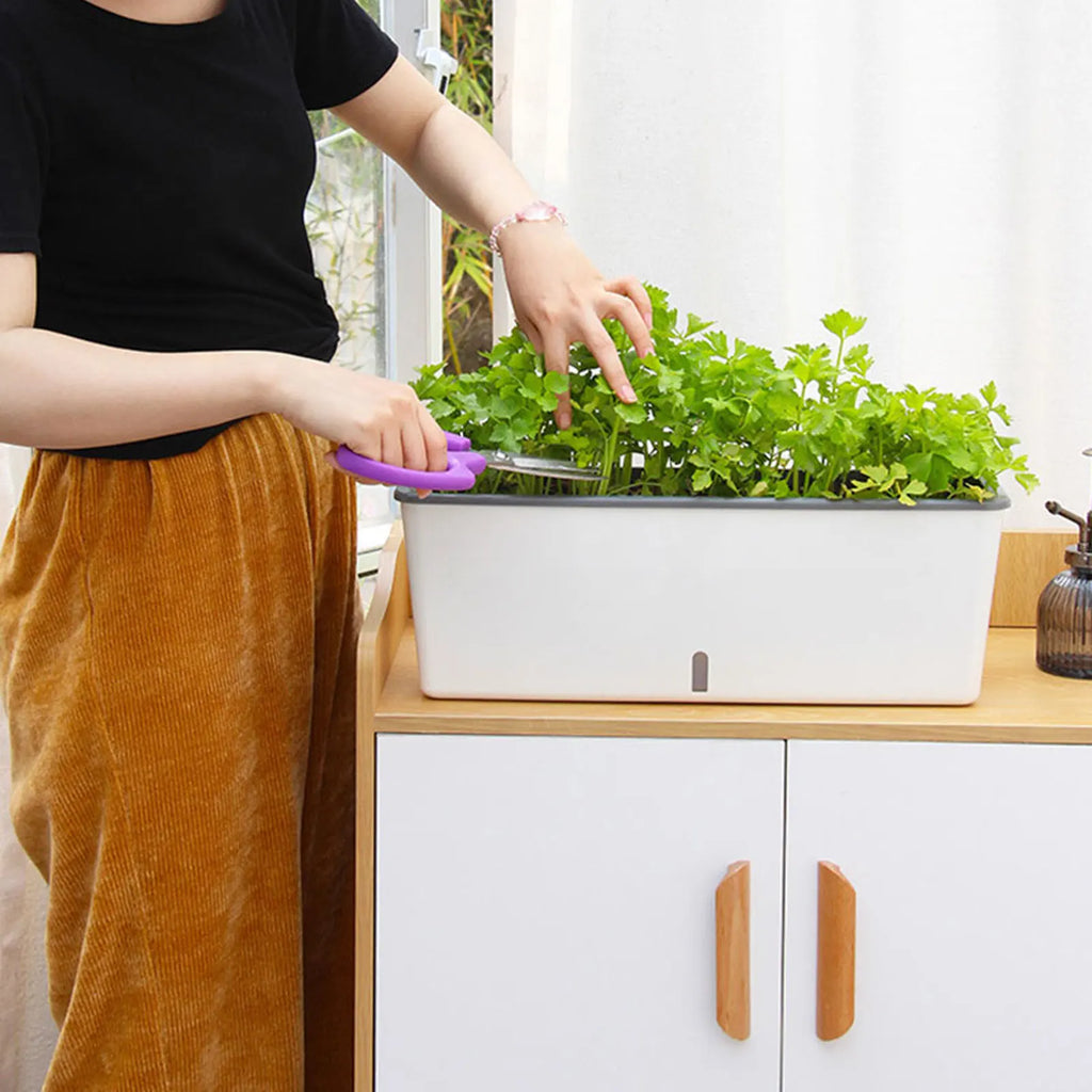 Self Watering Planter Pot with Water Level Indicator for Indoor Plants
