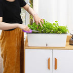 Self Watering Planter Pot with Water Level Indicator for Indoor Plants