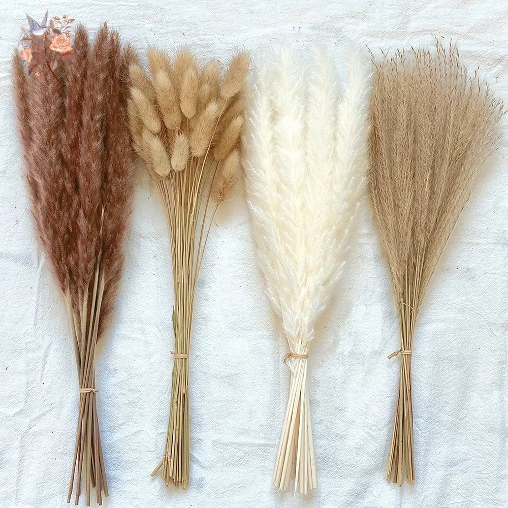 Natural Pampas Grass Dried Bouquet with Bunny Tails for Boho Vase Decor