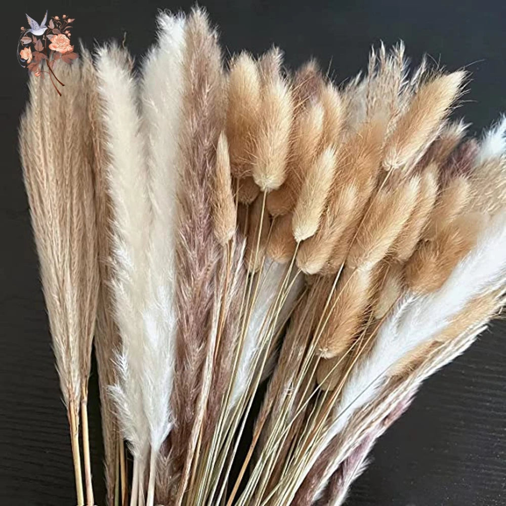 Natural Pampas Grass Dried Bouquet with Bunny Tails for Boho Vase Decor