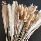 Natural Pampas Grass Dried Bouquet with Bunny Tails for Boho Vase Decor